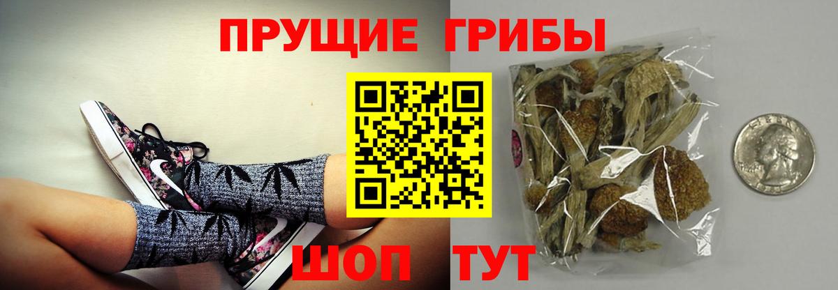 Псилоцибиновые грибы ЛСД  Вход с VPN  Гурьевск 