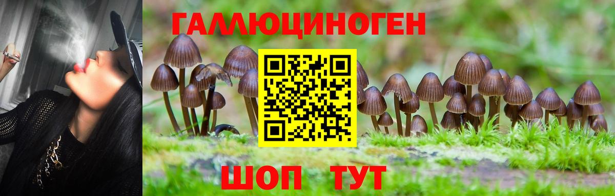 Галлюциногенные грибы MAGIC MUSHROOMS Гурьевск